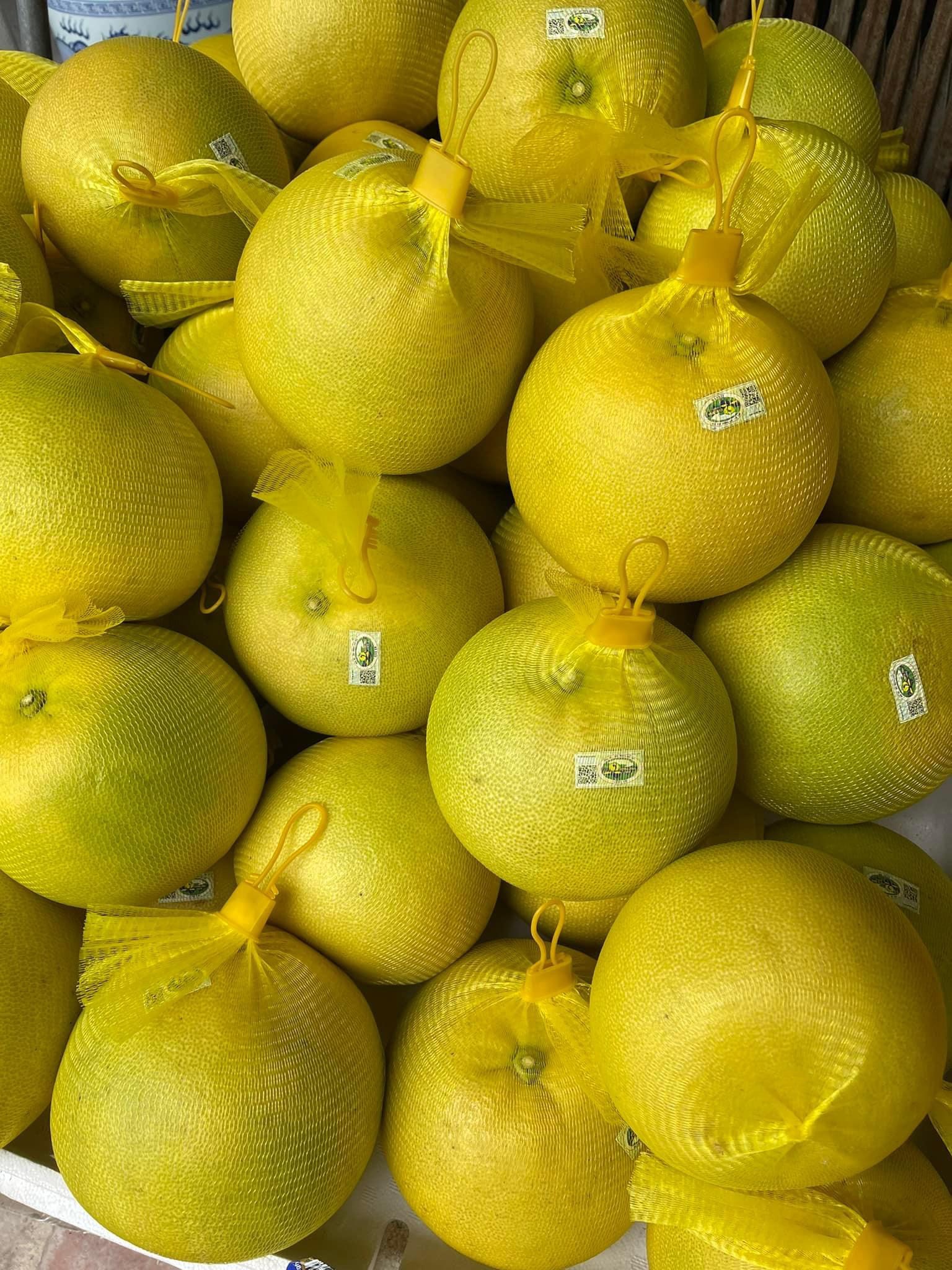 Bưởi Phúc Trạch