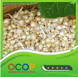 Hành tăm Sơn Tân