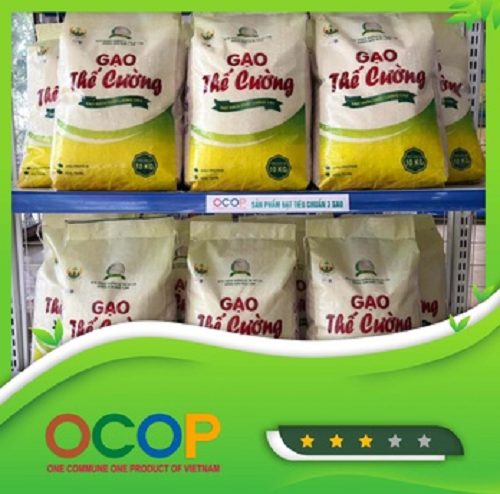 Gạo Thế Cường (Tám thơm)